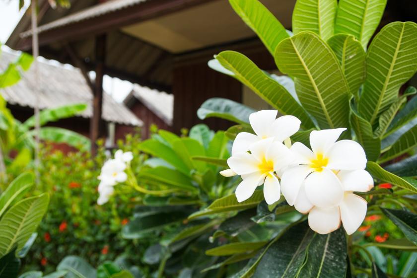 Weekender Bungalow Lamai Beach  Exterior photo